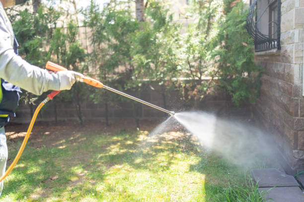 Best Pest Prevention Services  in Dunlap, OH